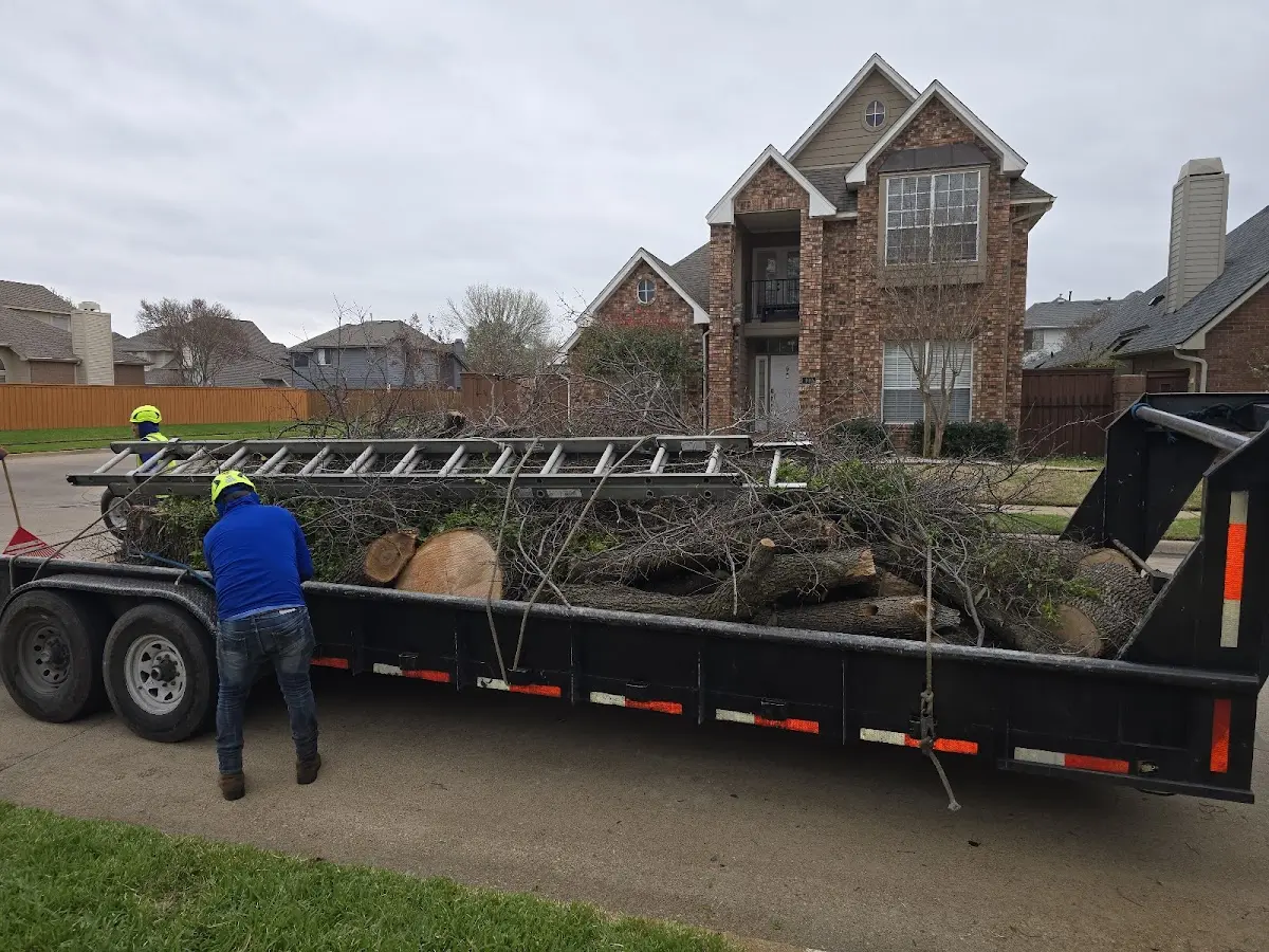 Expert Crown Reduction with proper safety equipment in Mount Holly